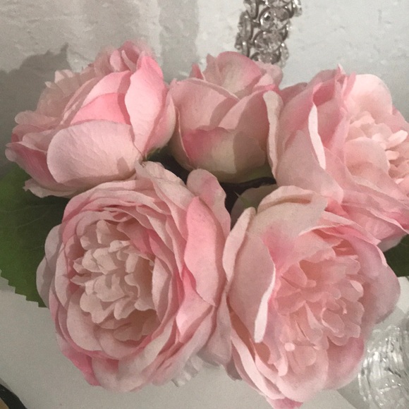 Meet your Posher, Marisol - Picture 1 of 1